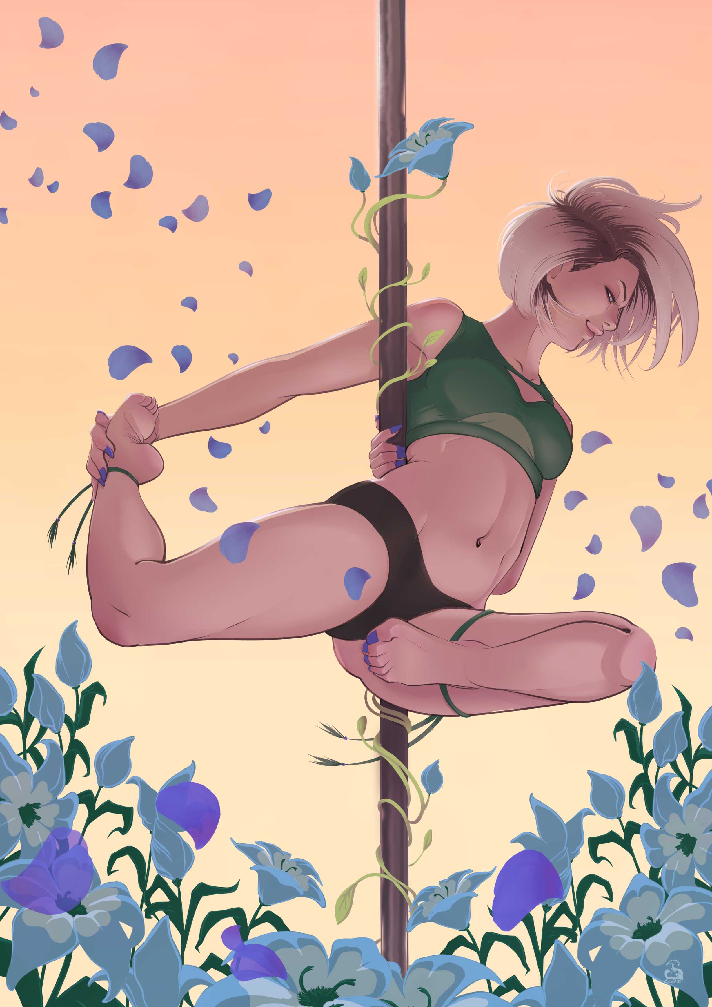 pole dance poler aerial sport