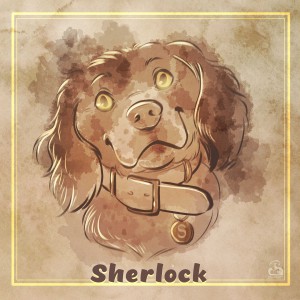 20231201-quickPortrait-sherlovk-v1-lowres